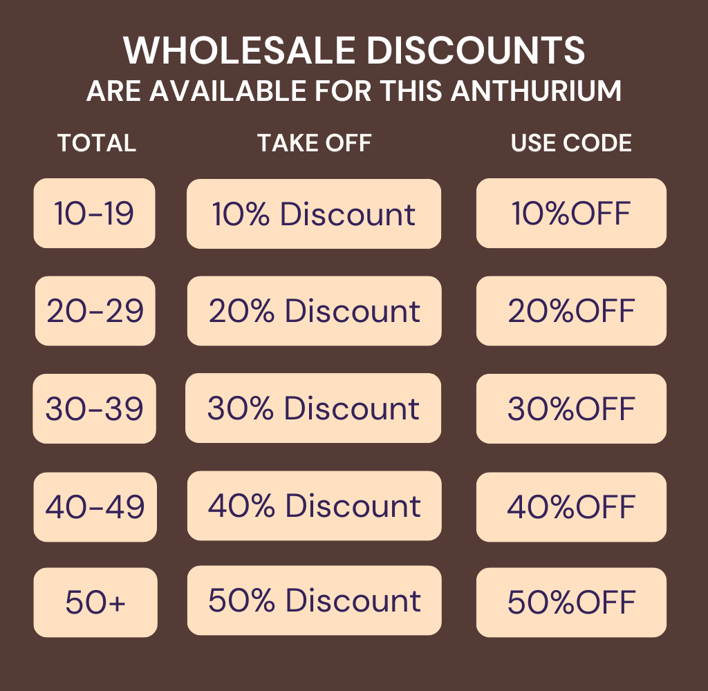 Website Discount Percentages